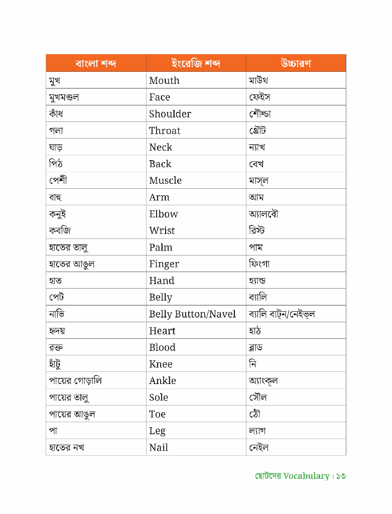 ছোটদের Vocabulary13.jpg