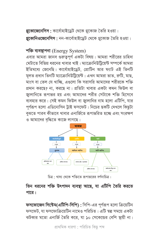 নিউট্রিশন প্রোগ্রামিং12.jpg