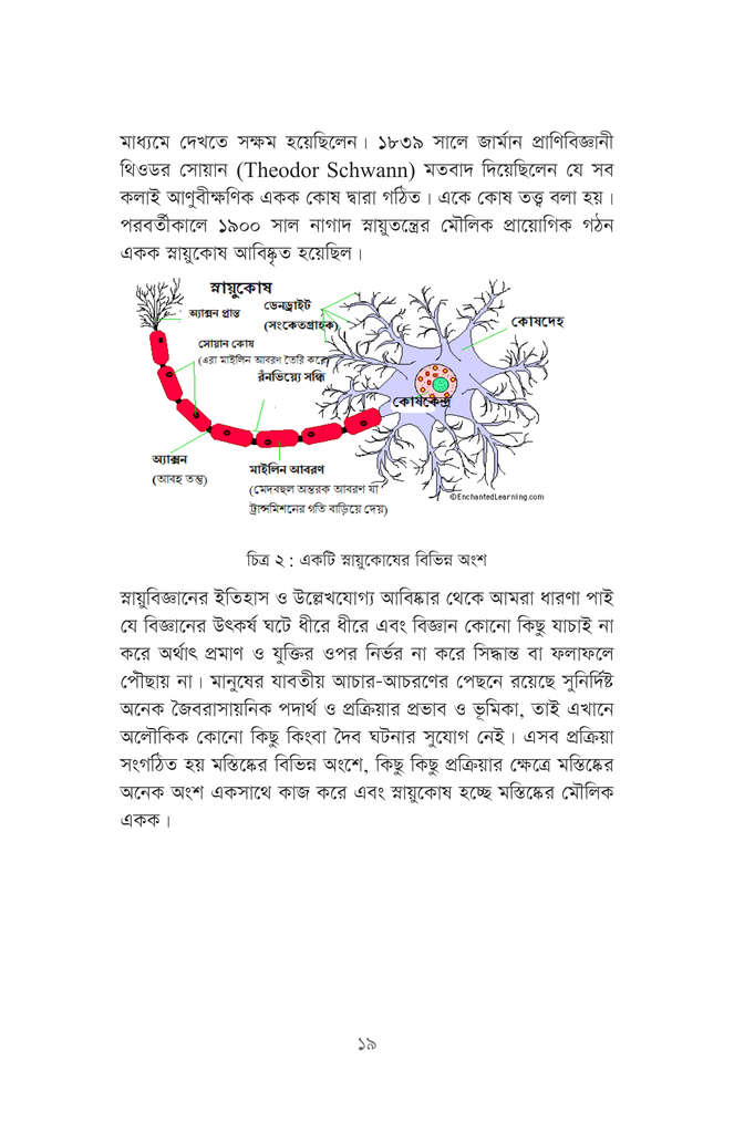 আচরণগত স্নায়ুবিজ্ঞান15.jpg
