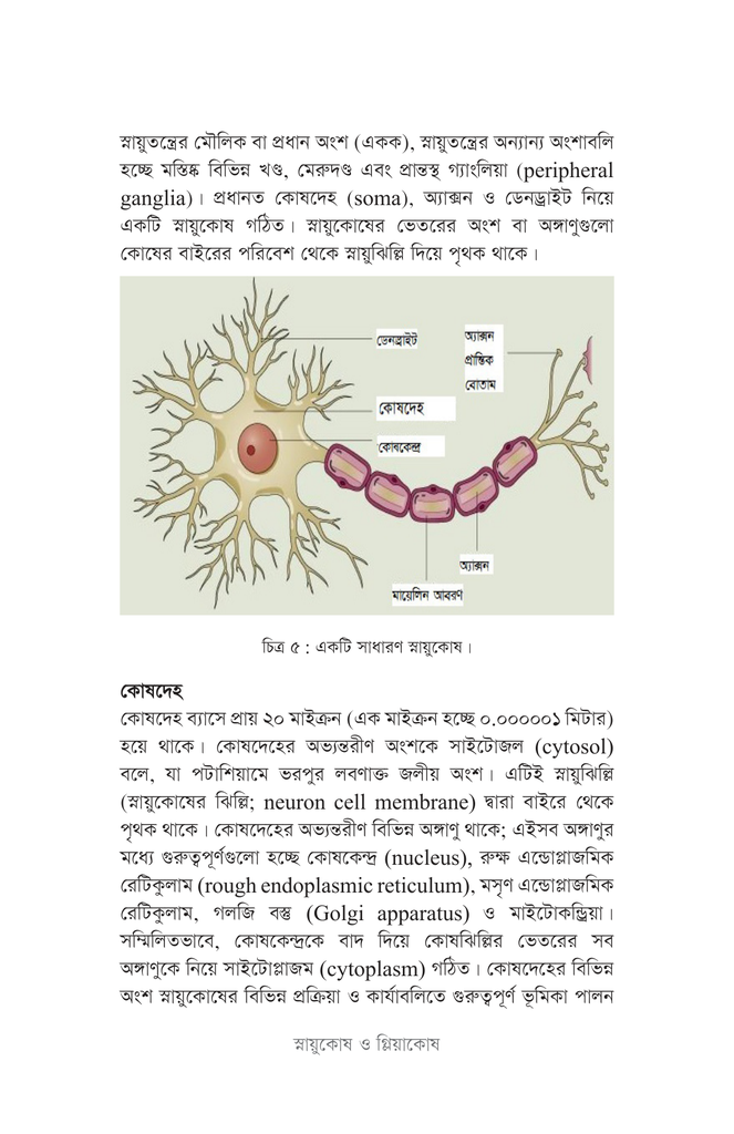 আচরণগত স্নায়ুবিজ্ঞান20.jpg