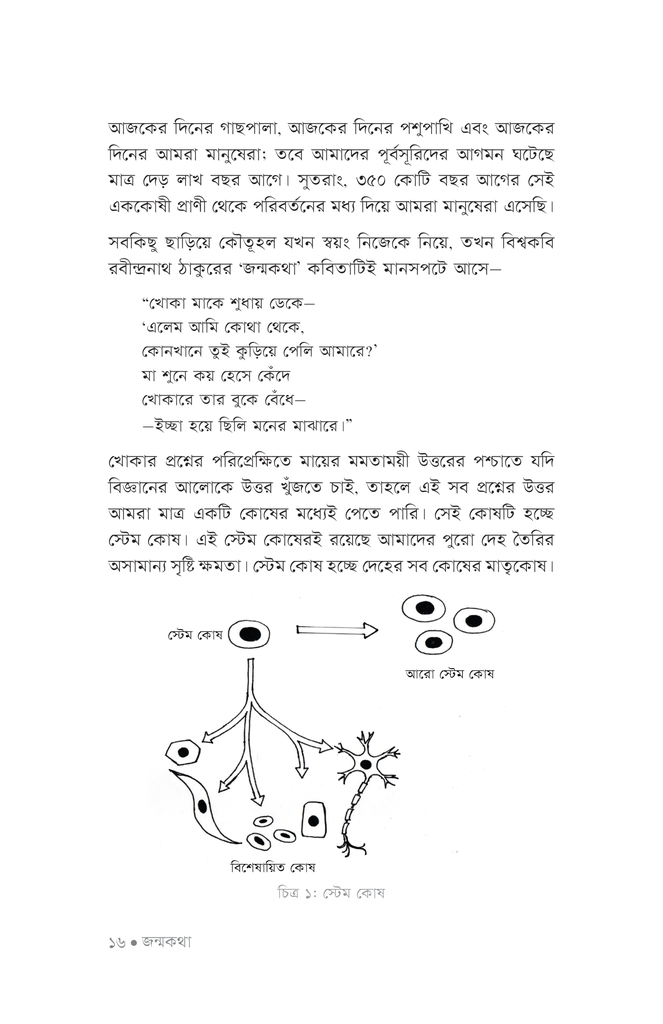 স্টেম কোষের আদ্যোপান্ত11.jpg