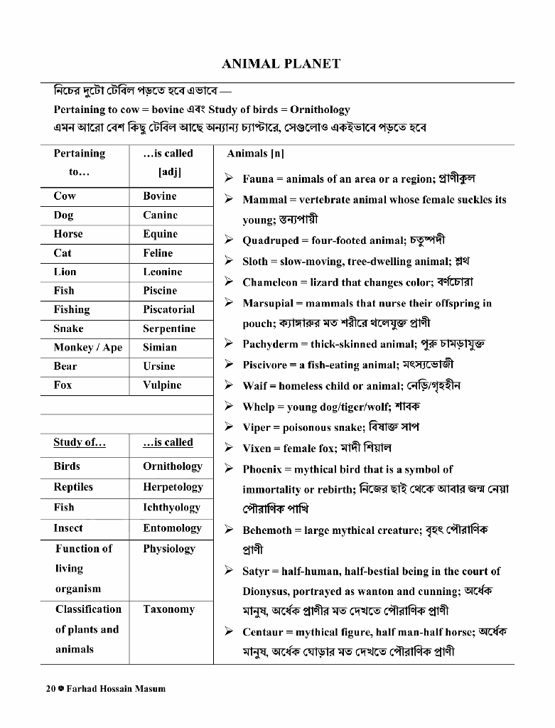 VocaBuilder16.jpg