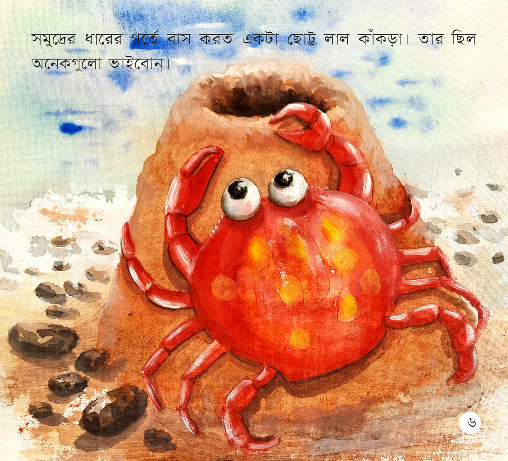 ছোট্ট লাল কাঁকড়া4.jpg