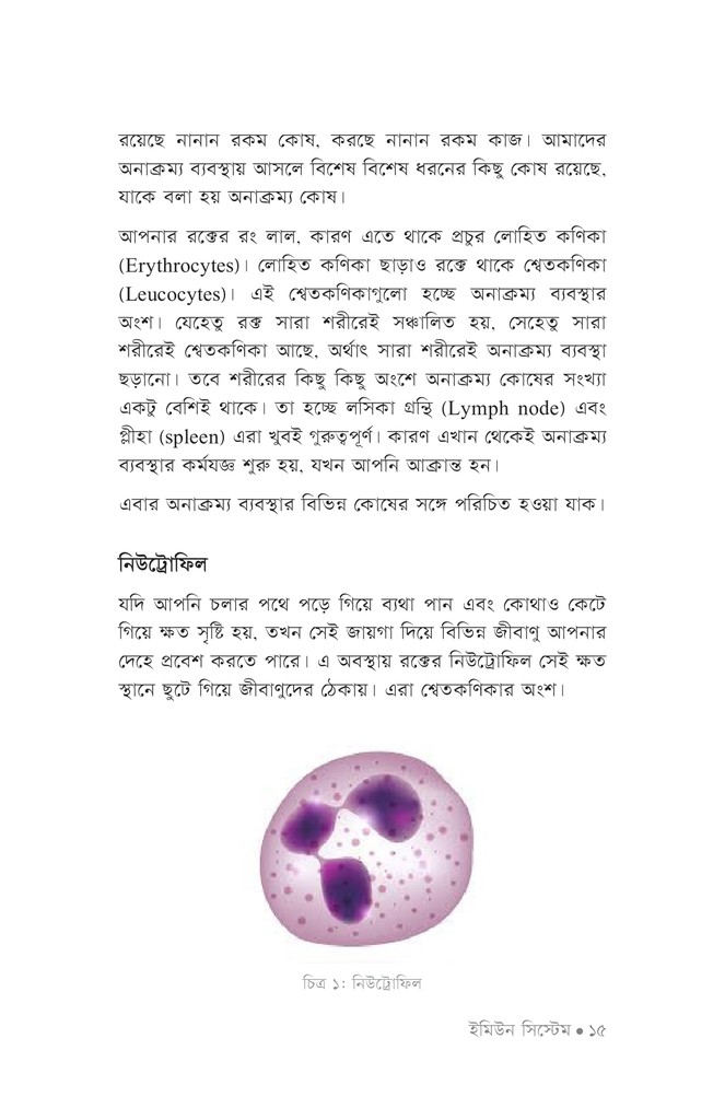 ইমিউন সিস্টেম11.jpg