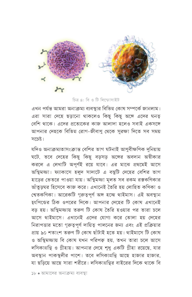 ইমিউন সিস্টেম14.jpg