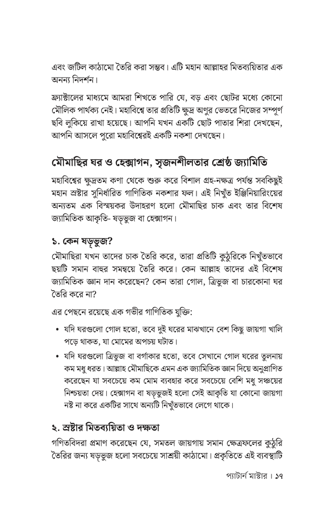   কোড কেল্লা প্যাটার্ন মাস্টার13.jpg